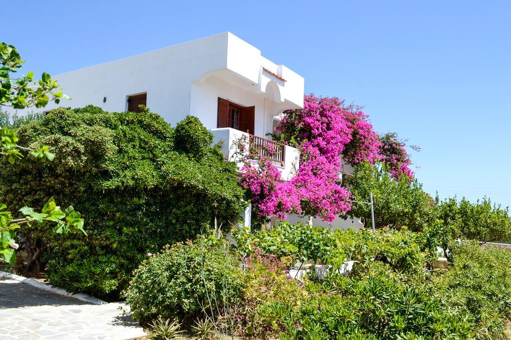 Maria Apartments Amoopi Dış mekan fotoğraf